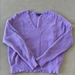 EXPRESS Women's Purple V-Neck Sweater